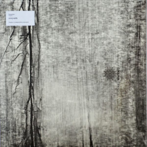 Plaster - ''Transition''