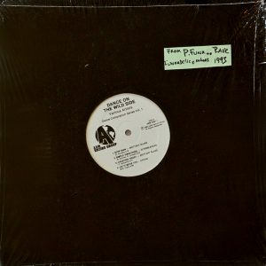 Dance On The Wild Side Vol. 1 - Dance Compilation Series Vol. 1
