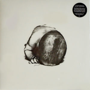 Liquid Idiot / The Idiot Orchestra - ''Liquid Idiot / Idiot Orchestra''