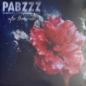Pabzzz - ''After The Rain''
