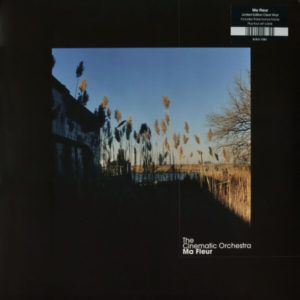 The Cinematic Orchestra - ''Ma Fleur''