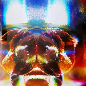 Gang Gang Dance - ''Glass Jar / MindKilla''