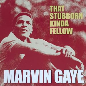 Marvin Gaye - ''That Stubborn Kinda Fellow''