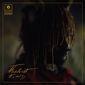 Thundercat - ''It Is What It Is''