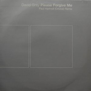 David Gray - ''Please Forgive Me (Paul Hartnoll (Orbital) Remixes)''