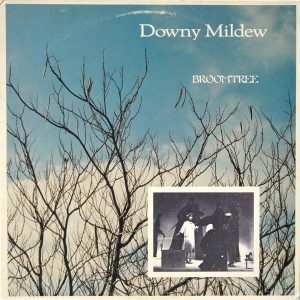 Downy Mildew - ''Broomtree''